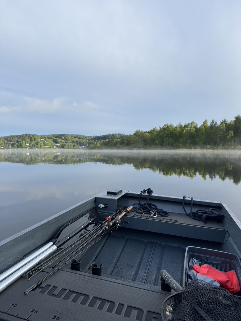 Fiskespön i båten på en stilla sjö med dimma över vattnet